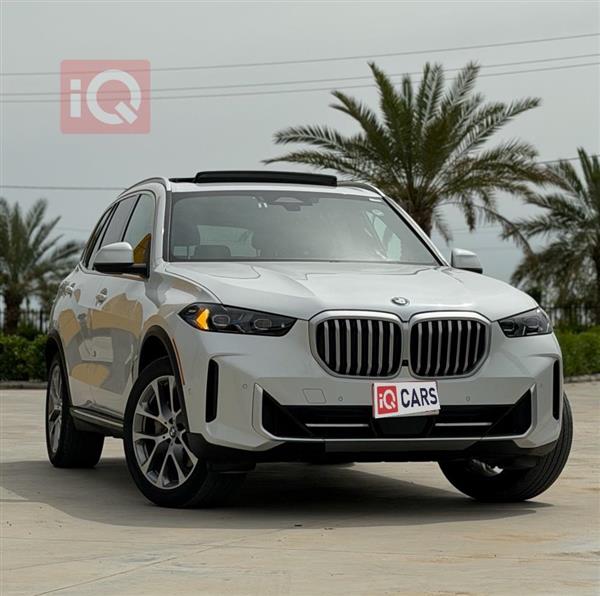 BMW X5 2024 for sale in Iraq - Erbil